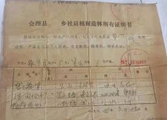 村官被指以权谋私,把他人林地分给其亲戚引质疑