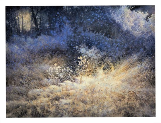 202342010304929647 202342010304929647