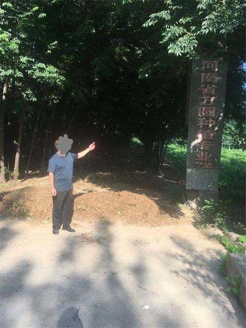 64c6883c46943.jpg 3.jpg