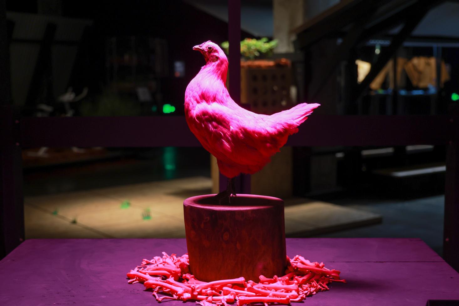 1690775592722006941.jpg 1690775592722006941.jpg